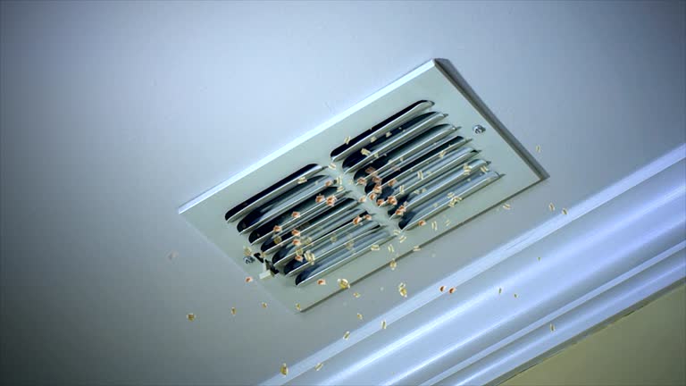 Best Affordable Air Duct Cleaning  in Algonquin, MD