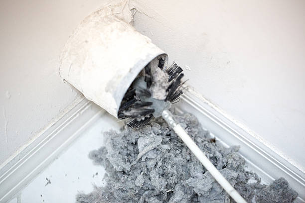 Best Duct Cleaning for Homes  in Algonquin, MD