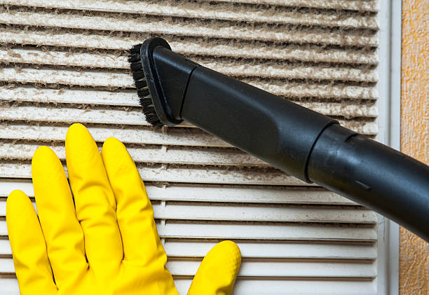 Best HVAC Duct Inspection Services  in Algonquin, MD